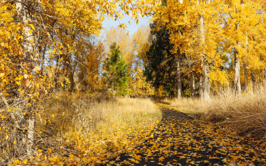 1123713 (a): :2048x1280